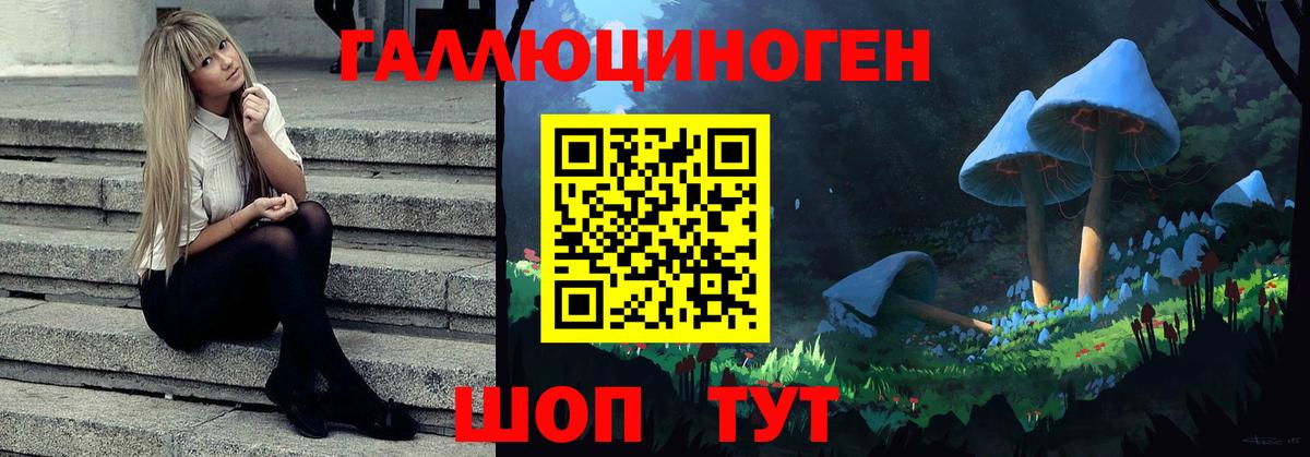 Ноябрьск  Галлюциногенные грибы ЛСД  Вход с VPN 