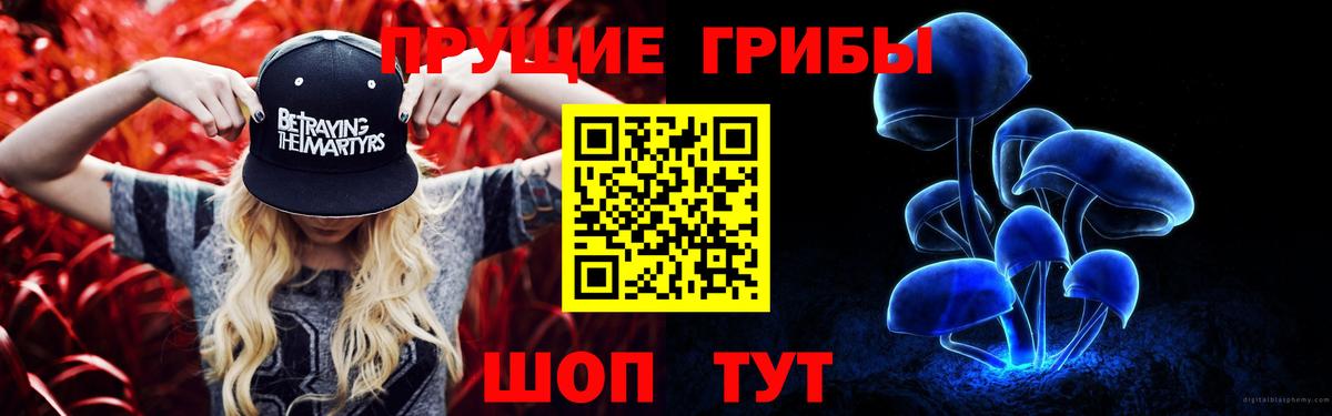 Галлюциногенные грибы GOLDEN TEACHER Ноябрьск